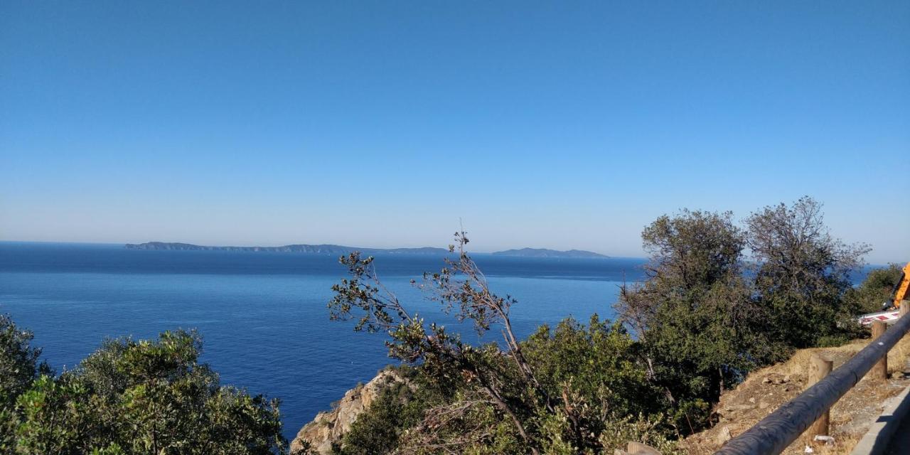 Ferienwohnung "Ti Sable" Agreable Studio Climatise, Jolie Vue Mer, Piscine A Cavalaire Sur Mer Golfe De St-Tropez Exterior foto